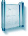 Vision Award